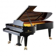 C. Bechstein D-282