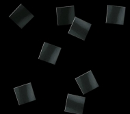  1010 