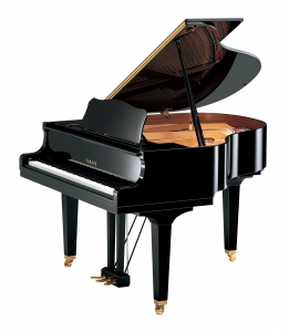 YAMAHA GB1K PE