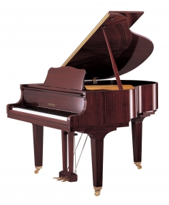 YAMAHA GB1K PM