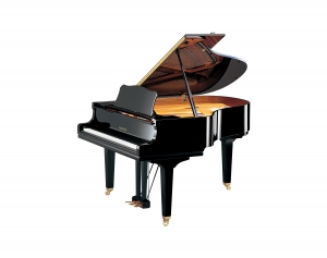 YAMAHA GC2 PE
