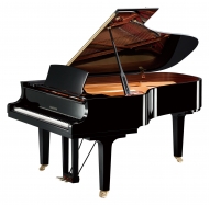 YAMAHA C6X