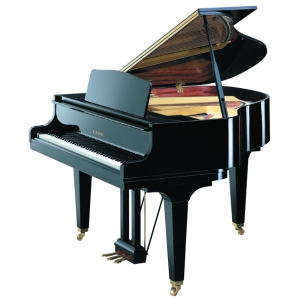 Kawai GM10