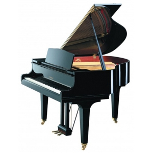 Kawai GE20