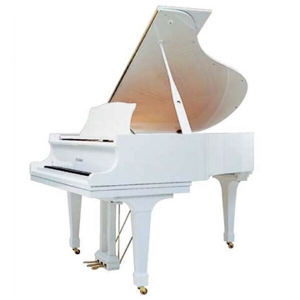 Kawai GE30