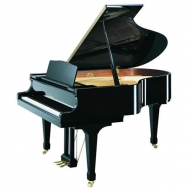 Kawai RX3 Conservatory