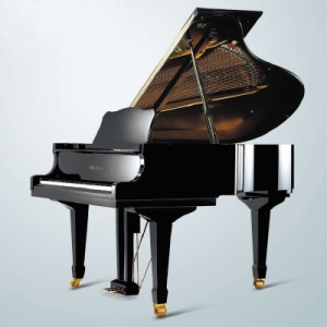 Weber W-150