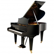 C. Bechstein L 167
