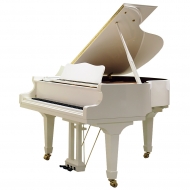 W.Hoffmann Vision V 158W