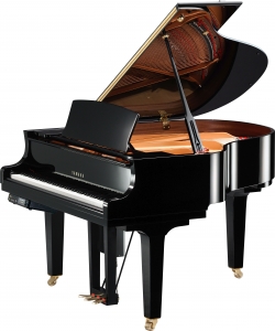 YAMAHA DC1XE3