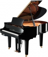 YAMAHA DC1XE3