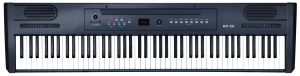 Ringway RP-20